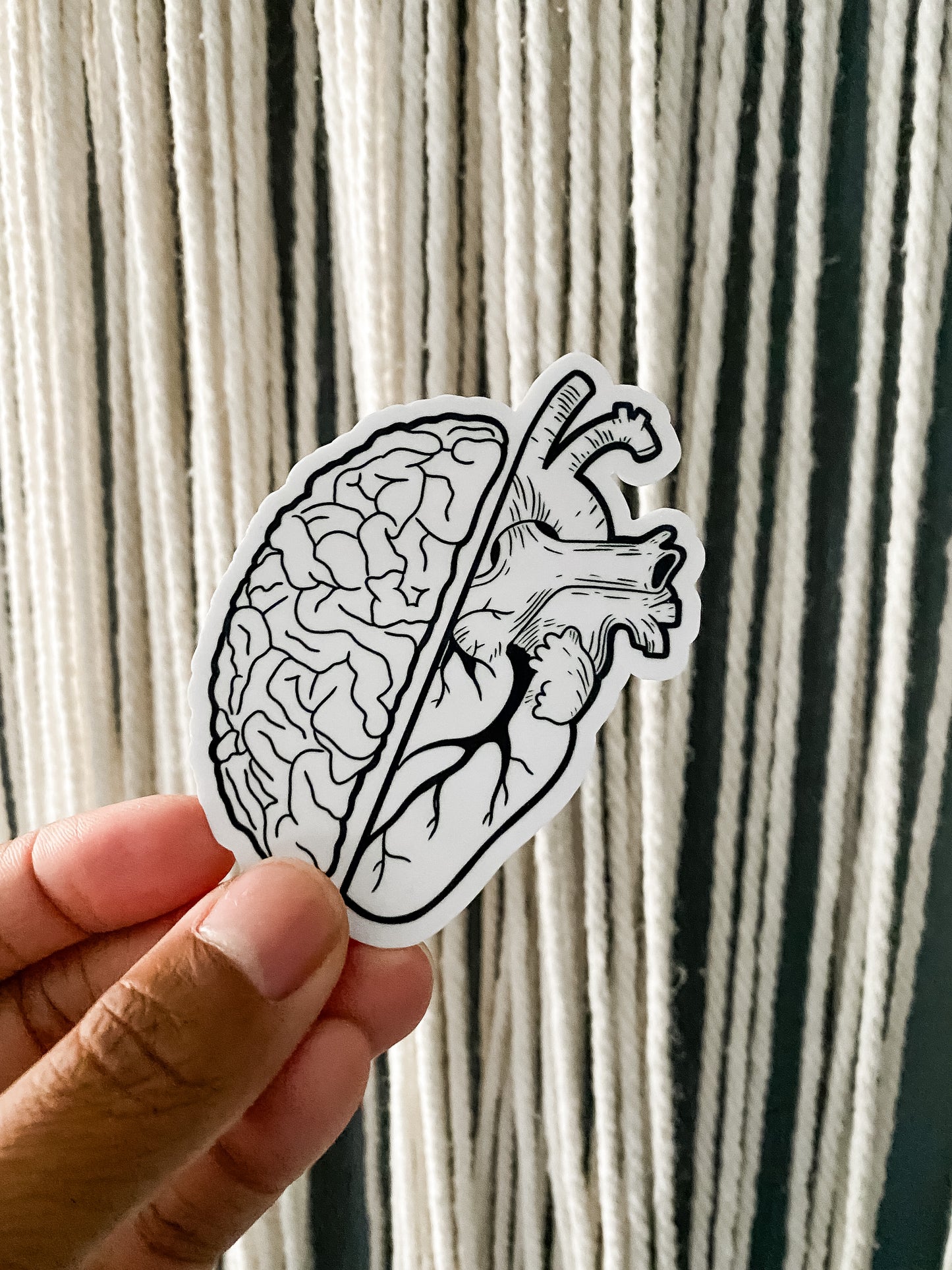 Left half of brain outline up against right side of anatomical heart.