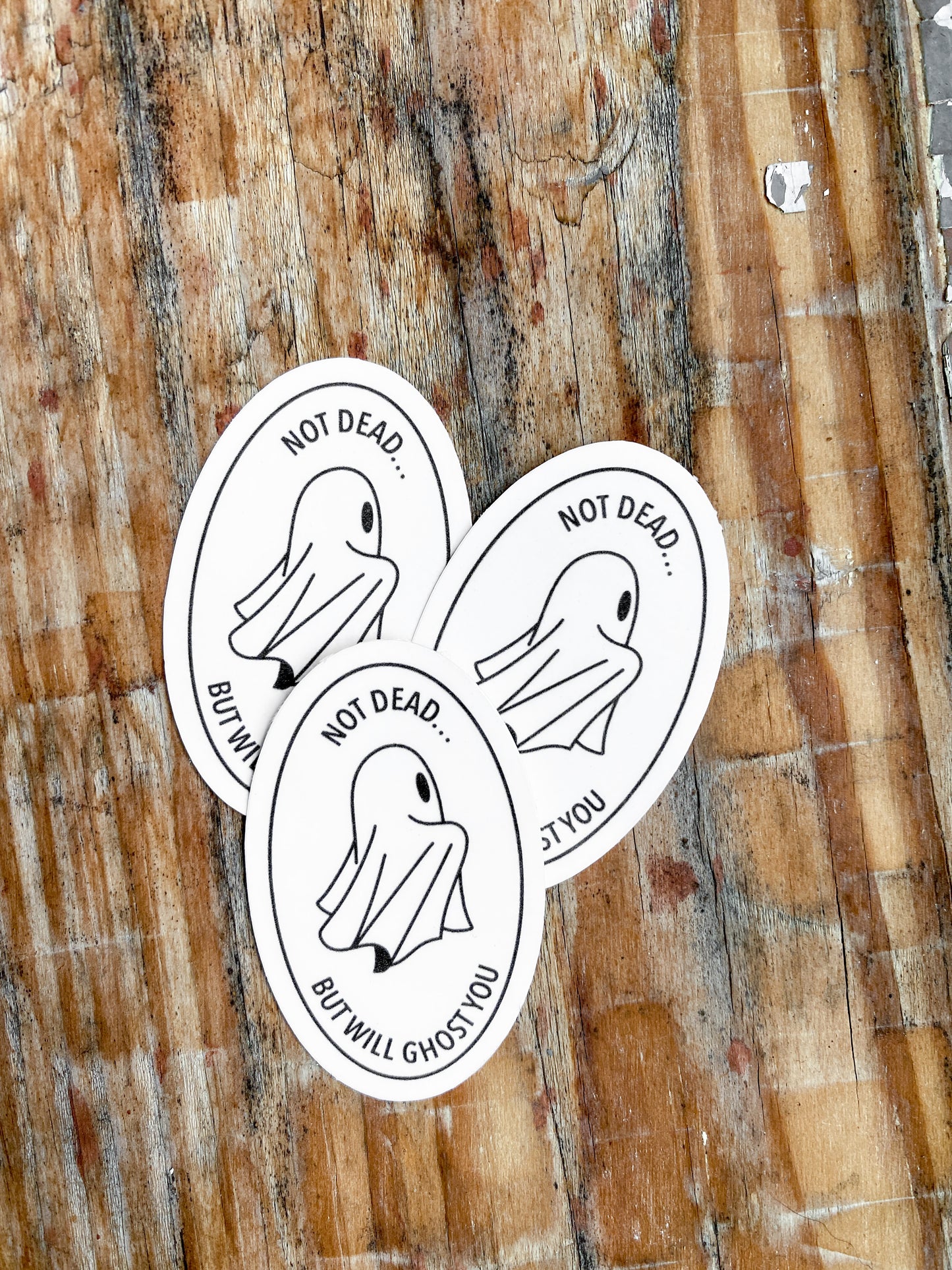 Collection of oval shaped sticker with ghost. Reads "not dead... but will ghost you" on the border